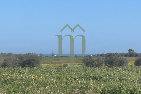 Ruinere i Brindisi, Brindisi, Brindisi - € 68.000 | Ref: Casolare Bern - foto 25